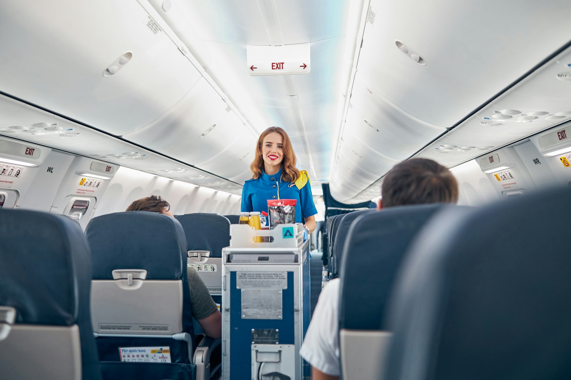 Air stewardess serving food on the board commercial airplane